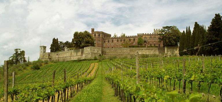 Тосканская винодельня опровергла новость о вине Dimon