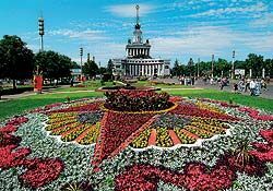 Московские цветы