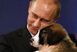 Россияне смогут назвать нового щенка Путина по своему желанию (БЛОГИ)