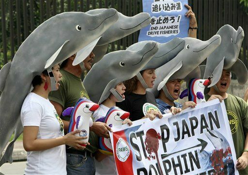 Миссия невыполнима: экологи против забоя дельфинов в Японии