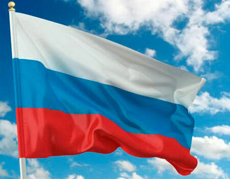 Жителя Серпухова обвинили в надругательстве над флагом у стен Кремля