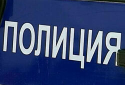 Полиция Чехова ловила вымышленных узбеков за вымышленные преступления