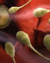 Врачи предупреждают: малярные краски ухудшают качество спермы