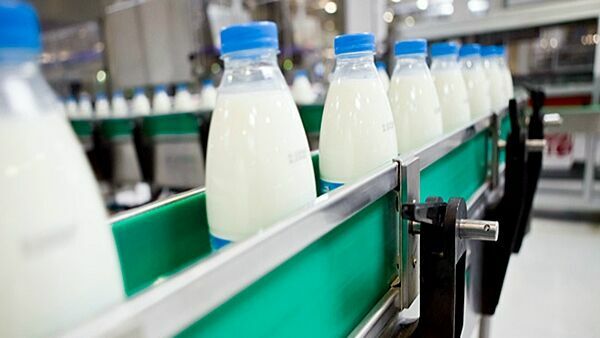 А у вас молоко убегает: договорятся ли Белоруссия и Россия о поставках