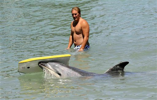 Драчливому дельфину Моко женщина расквасила нос веслом
