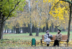 В Центральной России до конца недели сохранится аномально теплая погода