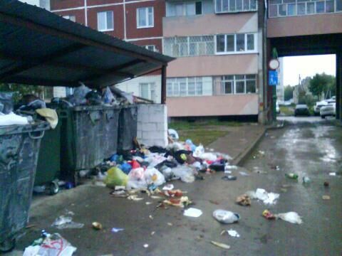 В Татарстане рассказали о тарифах на вывоз мусора