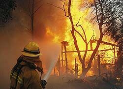 На западе США опять бушуют лесные пожары