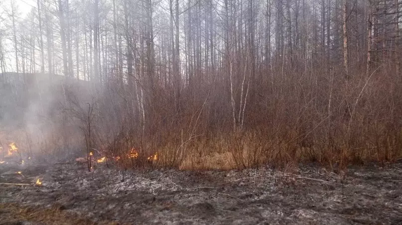 За сутки в Бурятии выгорело более 140 га лесов.