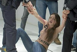 Заявления Путина для расследования дела против Femen не нужно