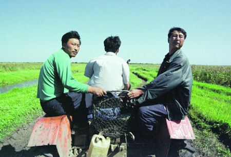 Цифра дня: китайцы забрали в пять раз больше дальневосточных гектаров, чем россияне
