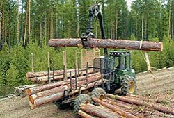 Верховный суд еще наломает дров с автотрассой через Химкинский лес