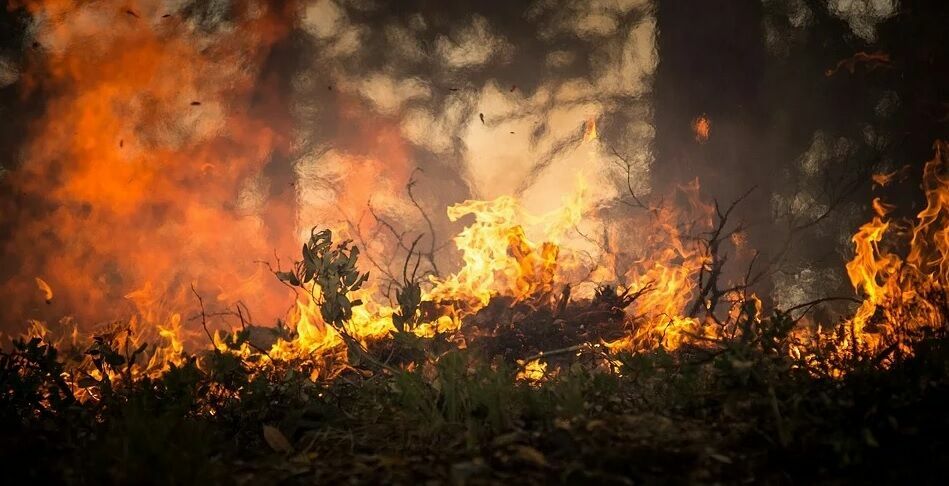 Рекордная жара в Якутии привела к многочисленным лесным пожарам