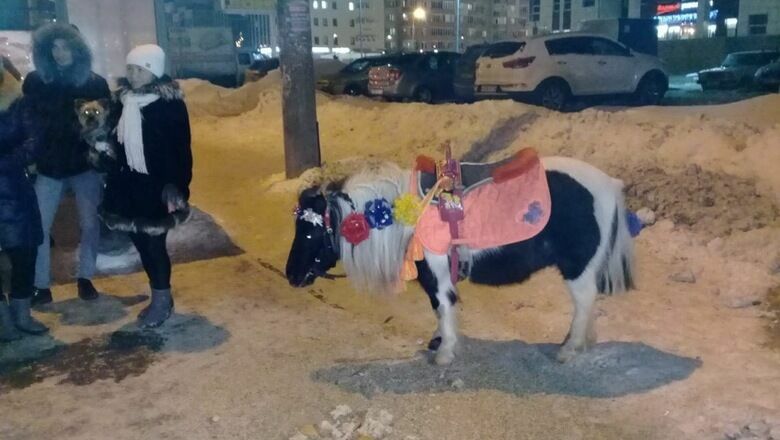 В Казани иномарка сбила пони