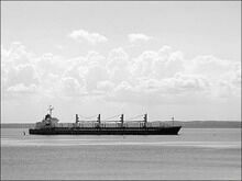 Сухогруз сел на мель в Выборгском заливе