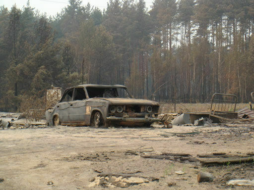 По выжженной земле: Россия после лесных пожаров
