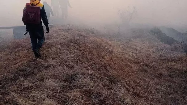 За сутки в Бурятии выгорело более 140 га лесов.