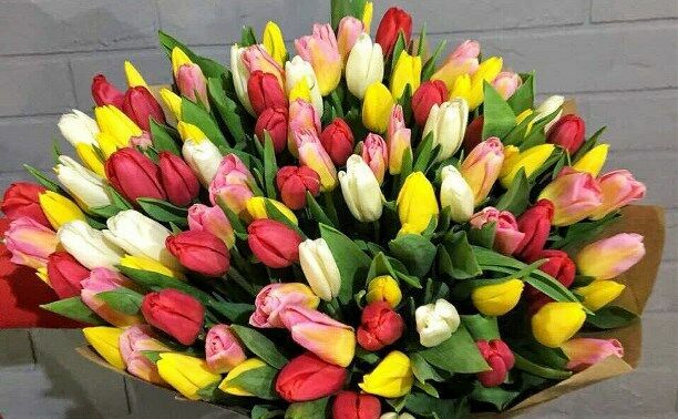 В Роскачестве дали рекомендации по выбору цветов к 8 марта