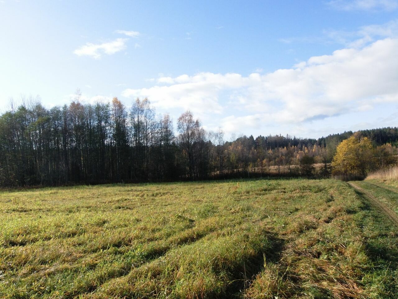 Российским земледельцам предложат бесплатный «ленинградский гектар»