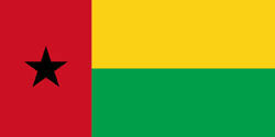 В Гвинее-Бисау произошел государственный переворот