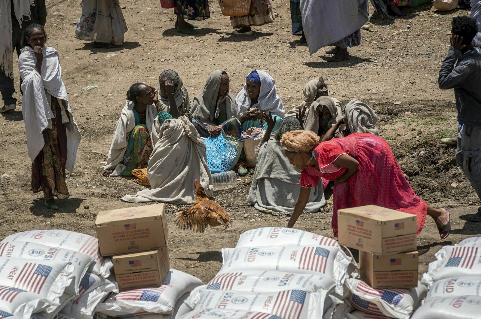 ООН обвинила власти Эфиопии в военных преступлениях против мирных жителей Тыграя