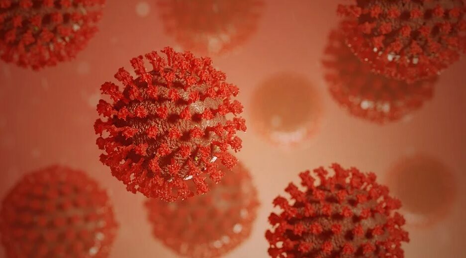 ВОЗ не нашла у коронавируса мутаций, усиливающих его воздействие