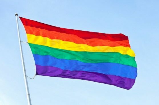 ЛГБТ - активисты обжалуют  решение хабаровской мэрии о запрете парада