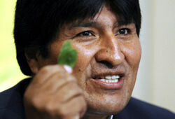 Кремль попросил Боливию запретить боливийцам жевать листья коки