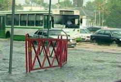 В Ярославле после потопа в лужах находят автомобильные номера