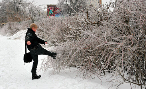 Природа устроила в Москве ледовое побоище