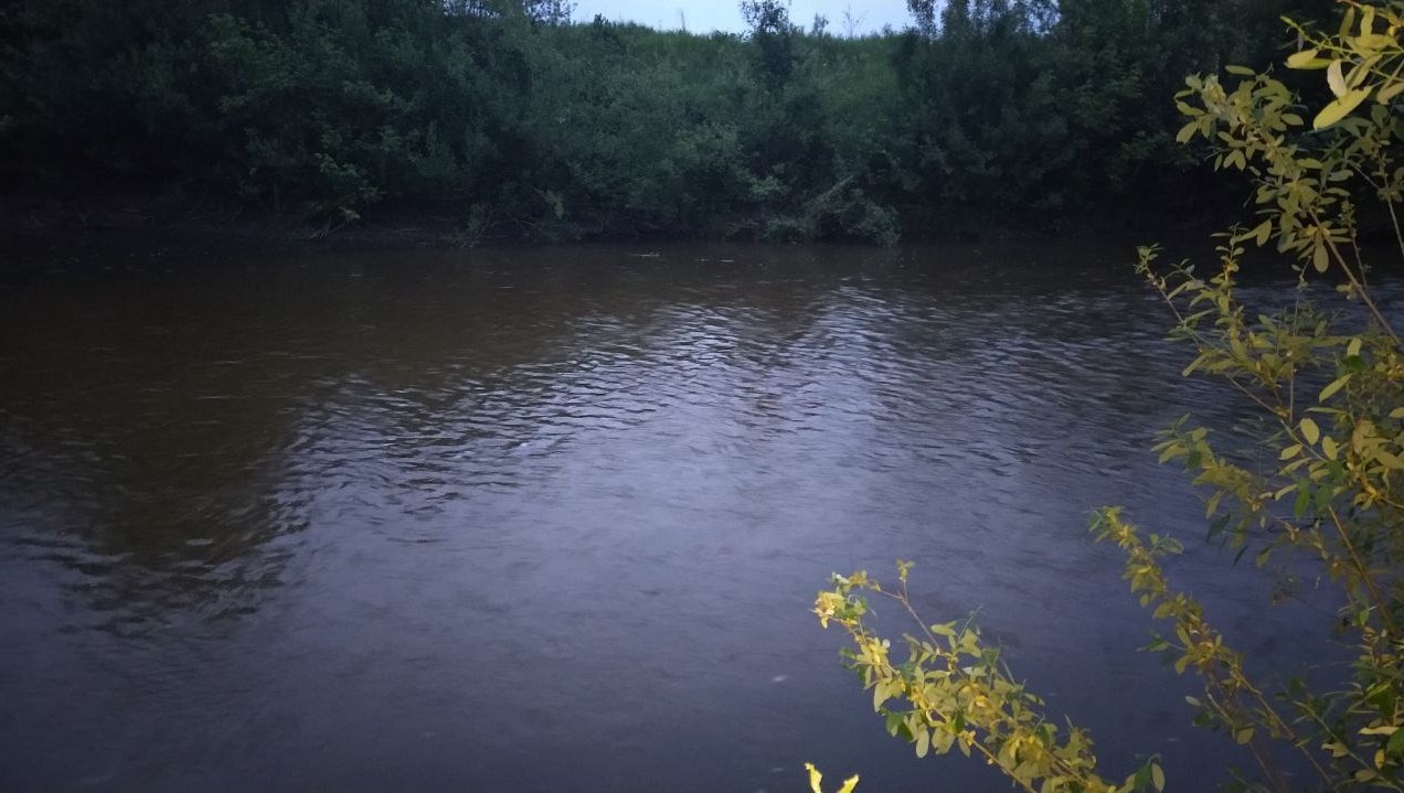 Три девочки утонули при купании в реке в Чувашии