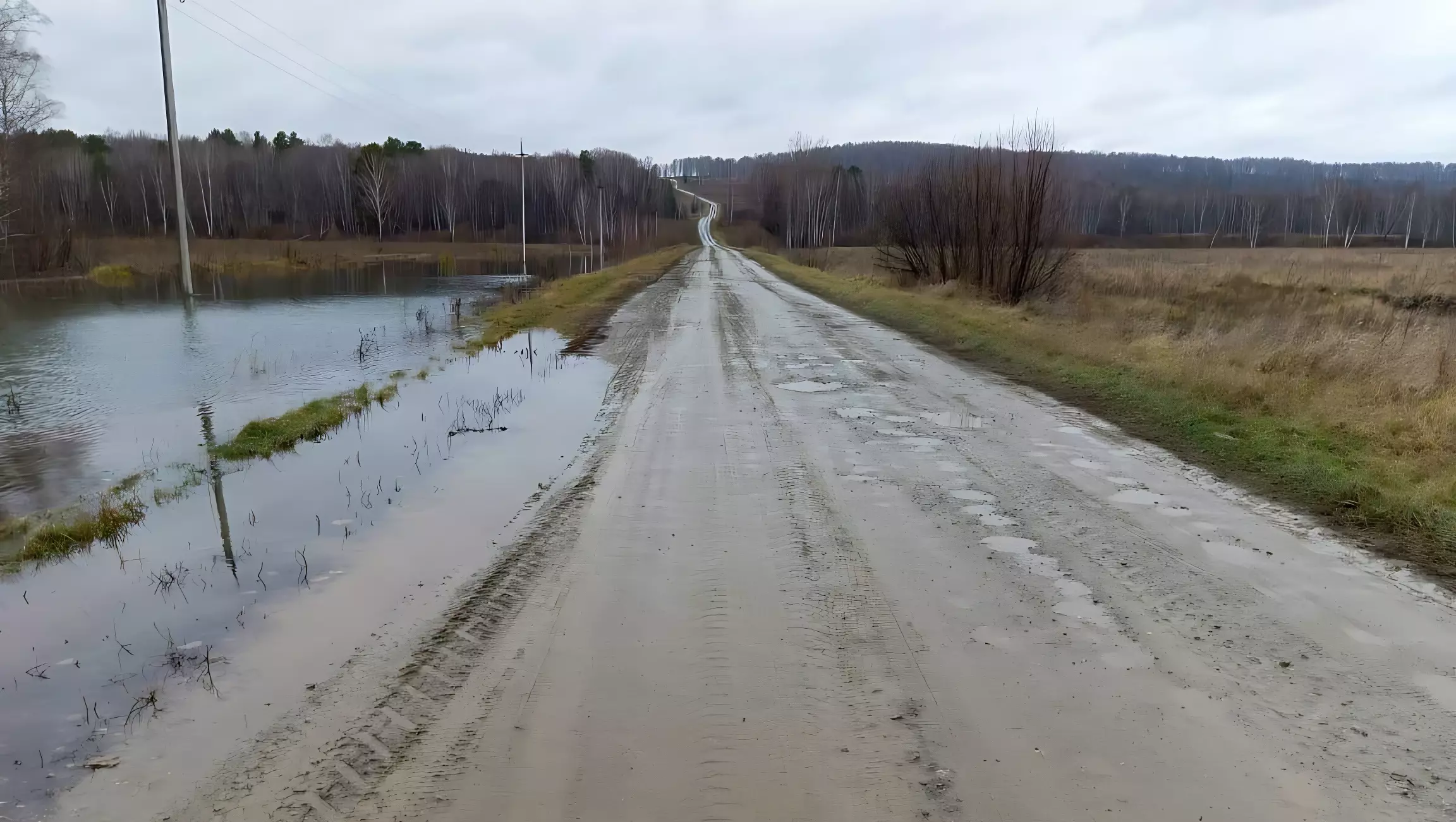 Минус экскаватор: бобры затопили дорогу и обесточили села под Новосибирском