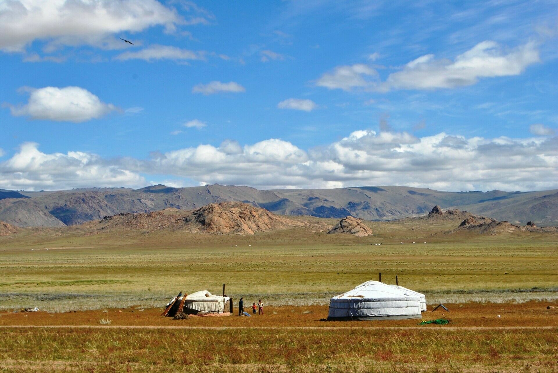 В Монголии ослабили карантин после того, как новый случай чумы не подтвердился