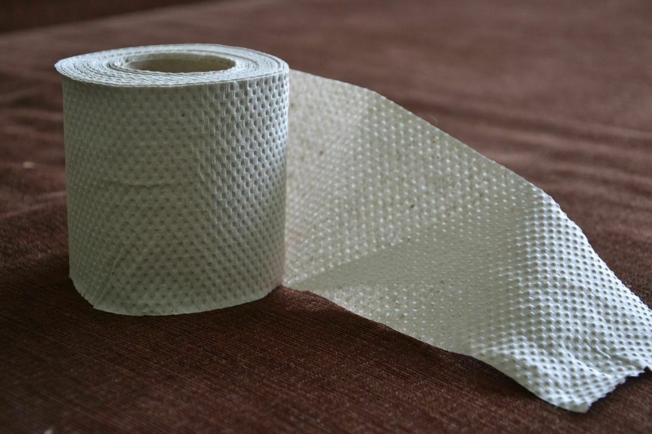 Финский производитель туалетной бумаги сообщил о грядущем ее дефиците в Европе