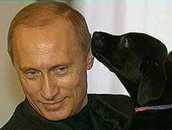 Путин купит ошейник с ГЛОНАСС для Кони