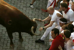 В испанской Памплоне во время забега с быками пострадали четверо