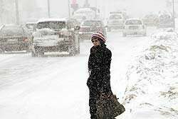 Московские водители испугались снегопада