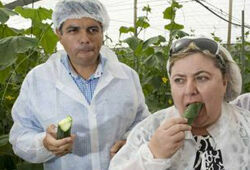 Россия запретила ввоз овощей из Европы (ВИДЕО)