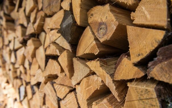 На Украине начали продавать дрова через интернет