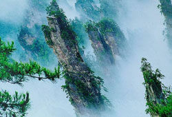Китайскую гору, вдохновившую Кэмерона, назвали «Аллилуйя, Аватар»