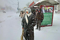 Снегопад оставил Владивосток без хлеба