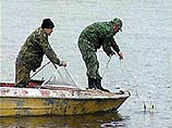 Китайцы помогут Чечне разводить рыбу