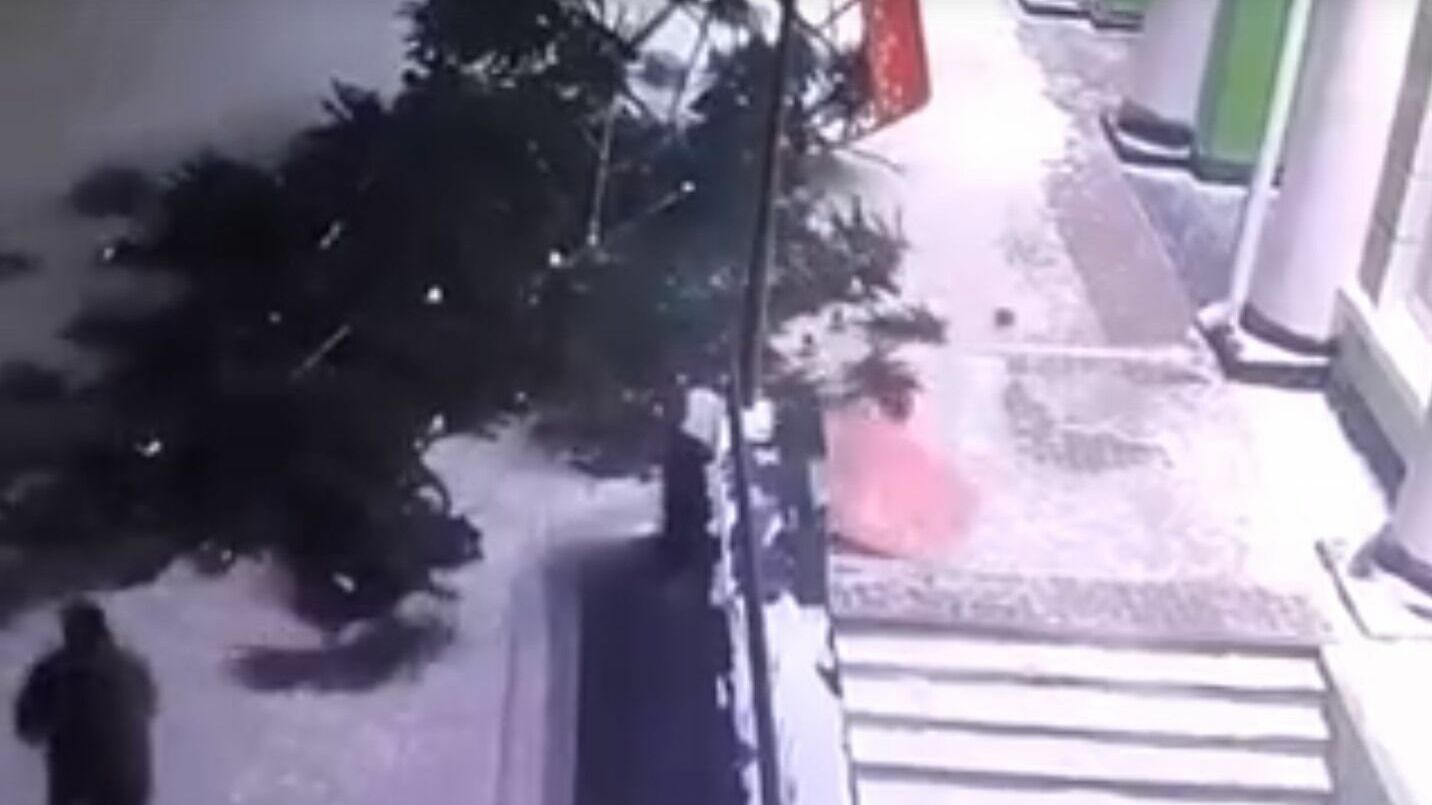 В Мурманске два человека получили травмы из-за падения новогодней елки (ВИДЕО)