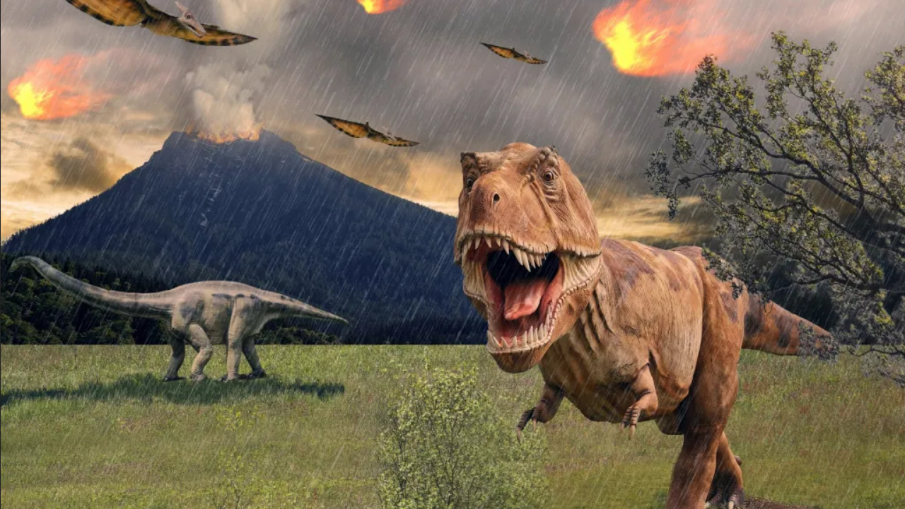 Current Biology: предки человека были свидетелями вымирания динозавров