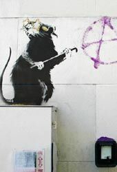 Похищенная в Мельбурне крыса граффитиста Бэнкси может быть подделкой