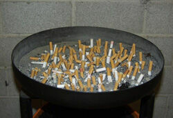 В столице хотят запретить курение в подъездах домов и соцучреждениях (ВИДЕО)