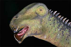 Зачем динозавры топтались на Аравийском полуострове