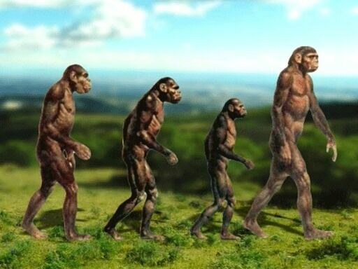 Древний человек «денисовец» против теории Дарвина