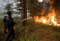 Лесные пожары бушуют по всей России (ФОТО)