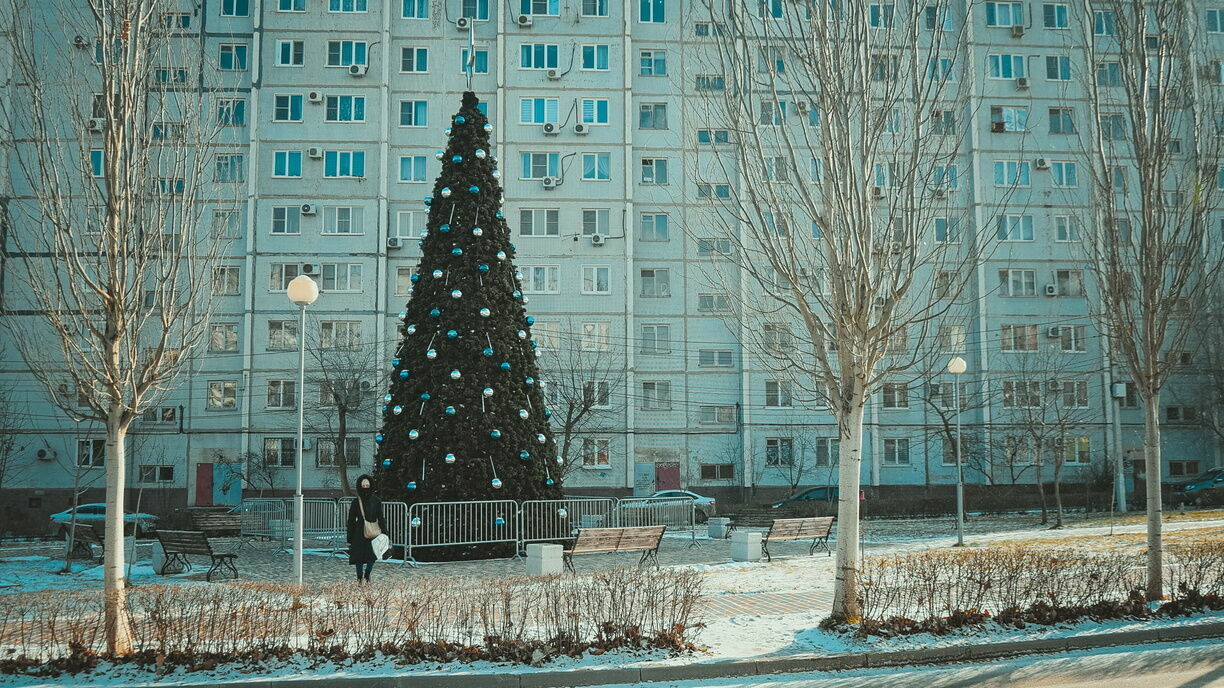 Первая ласточка: России удалось импортозамещение новогодних елок